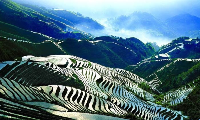 Vietnam's Rice Terraces Among Asia's Hottest Tourist Attractions