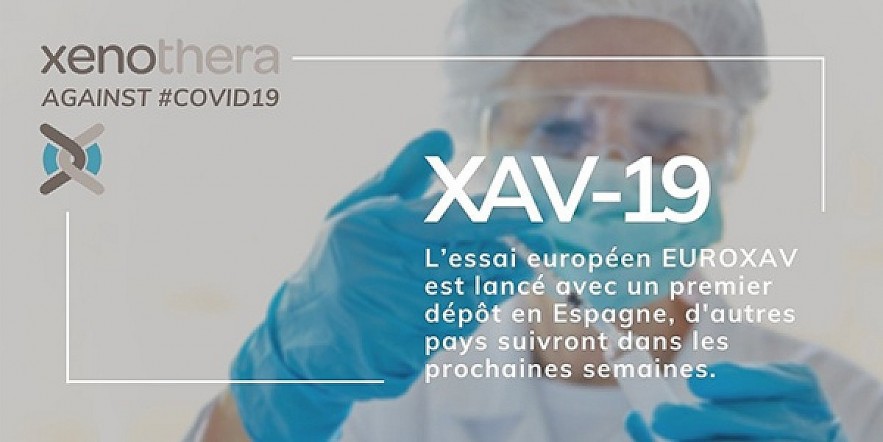 XAV-19 has proved to be effective against various SARS-CoV-2 strains. (Illustrative photo)