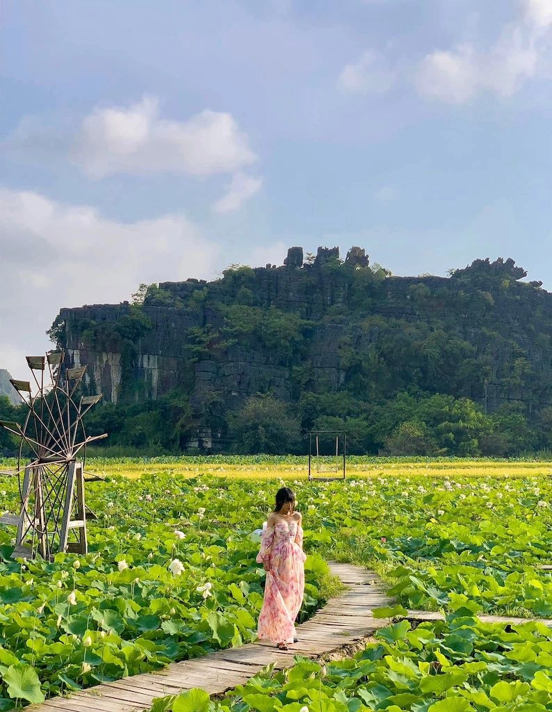 Where to Visit in Ninh Binh: Ngoa Long Lotus Pond - A Photogenic Hot Spot