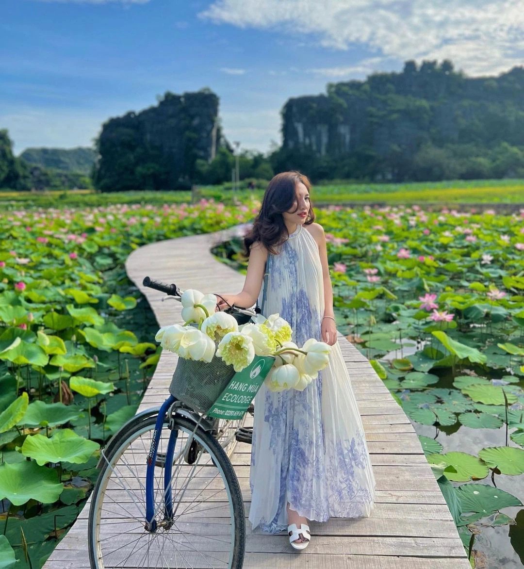 Where to Visit in Ninh Binh: Ngoa Long Lotus Pond - A Photogenic Hot Spot