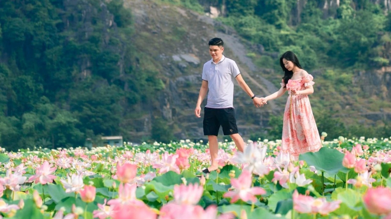 where to visit in ninh binh ngoa long lotus pond a photogenic hot spot
