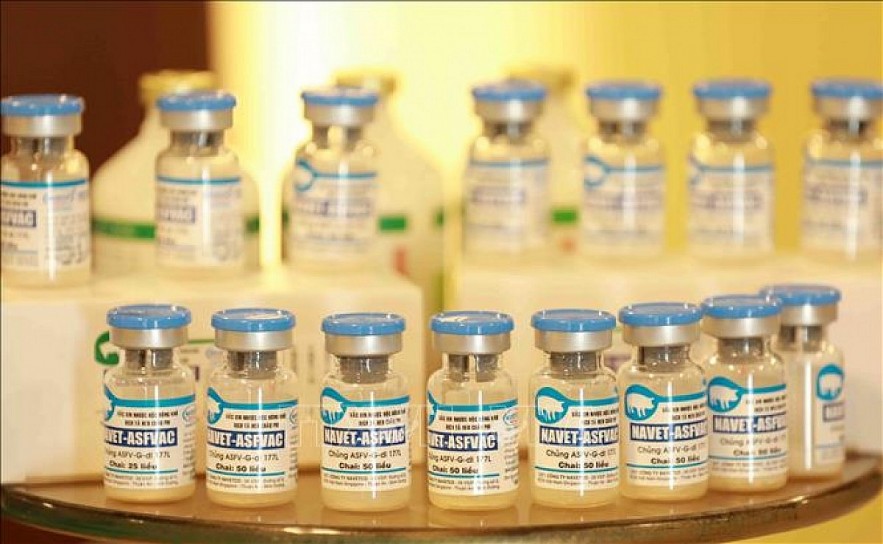 The NAVET-ASFVAC vaccine produced by Navetco Company. Photo: VNA