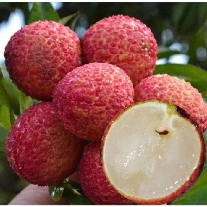 Do You Know These Made-in-Vietnam Seedless Fruits?