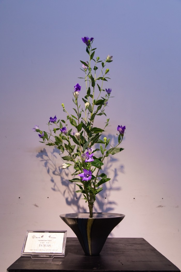 Ikebana Exhibition to Spread the Beauty of Japanese Flower Arrangement