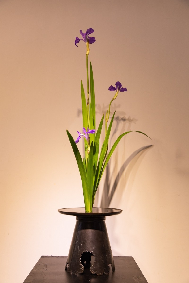 Ikebana Exhibition to Spread the Beauty of Japanese Flower Arrangement