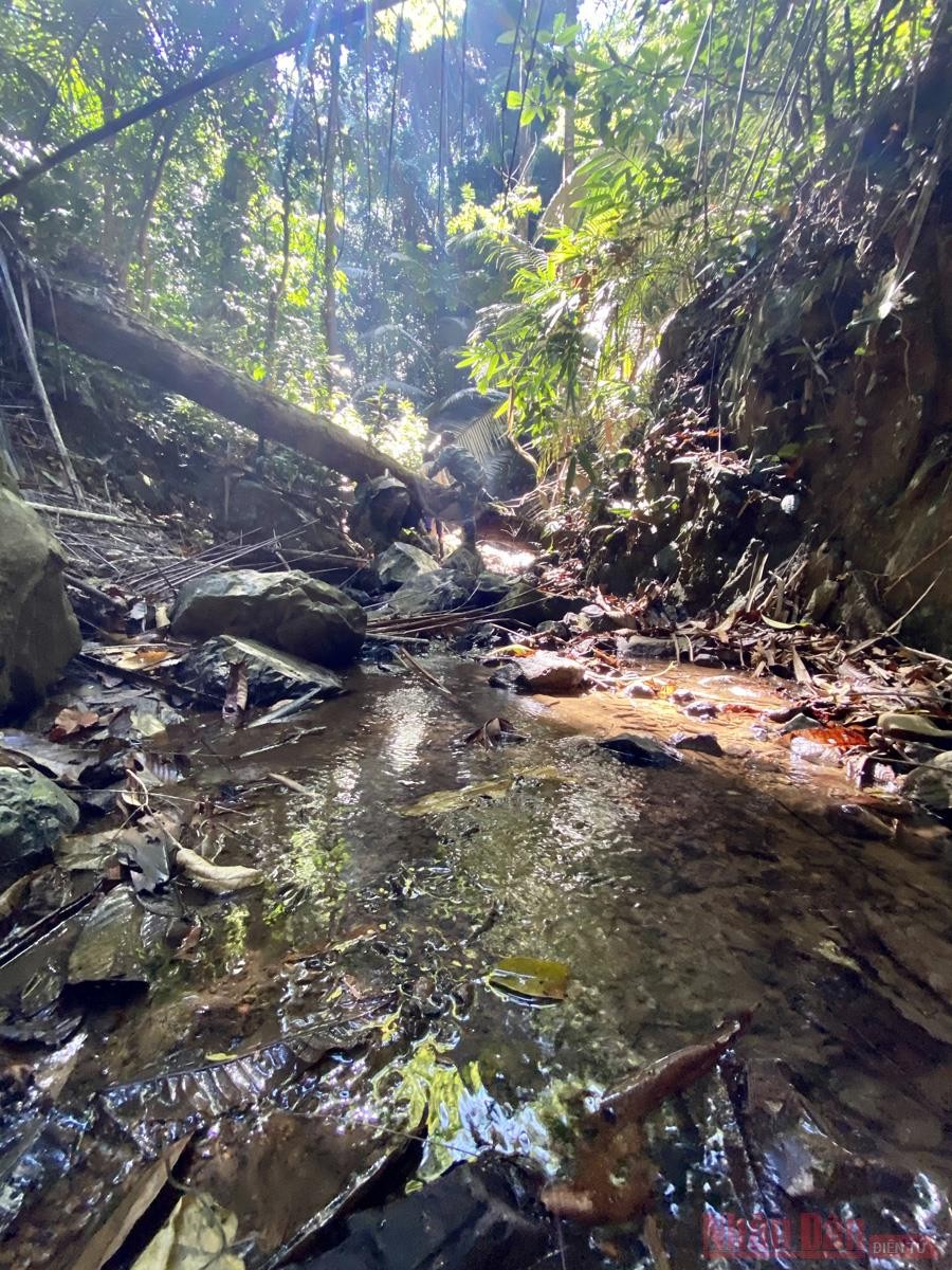 ASEAN Heritage on the Truong Son Mountain Range Impresses Many Visitors