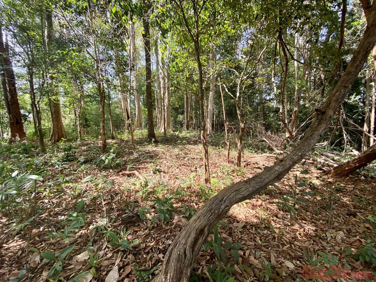 ASEAN Heritage on the Truong Son Mountain Range Impresses Many Visitors