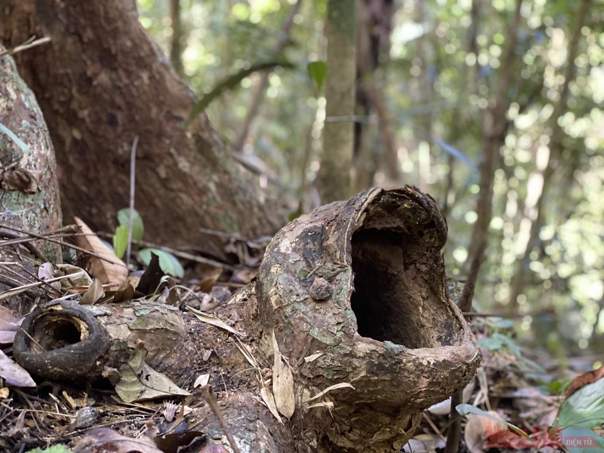 ASEAN Heritage on the Truong Son Mountain Range Impresses Many Visitors