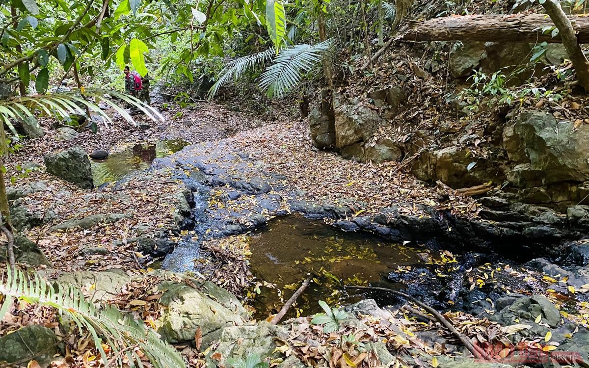 ASEAN Heritage on the Truong Son Mountain Range Impresses Many Visitors