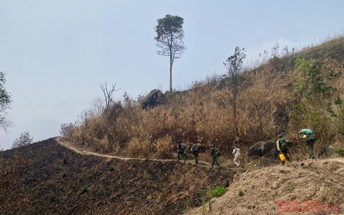 ASEAN Heritage on the Truong Son Mountain Range Impresses Many Visitors