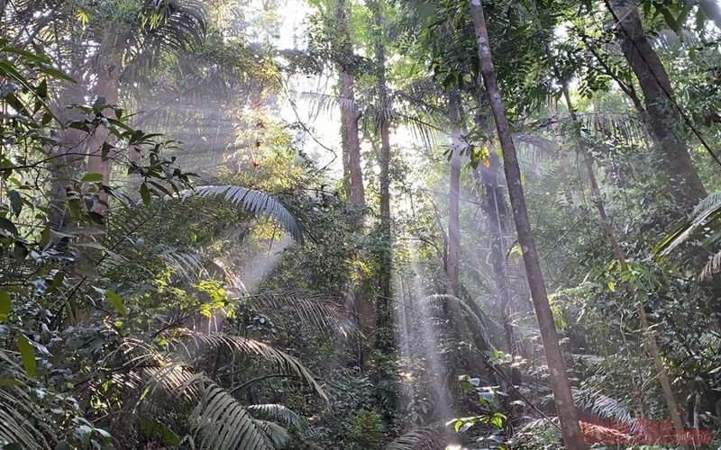 asean heritage on the truong son mountain range impresses many visitors