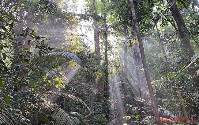 ASEAN Heritage on the Truong Son Mountain Range Impresses Many Visitors