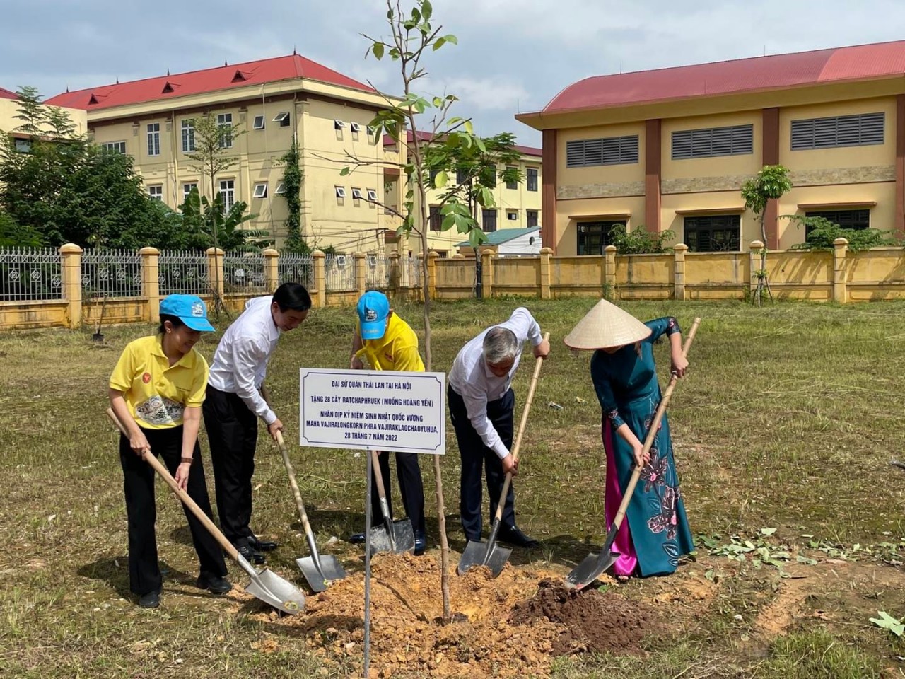 thailands national flower trees planted in vinh phuc province