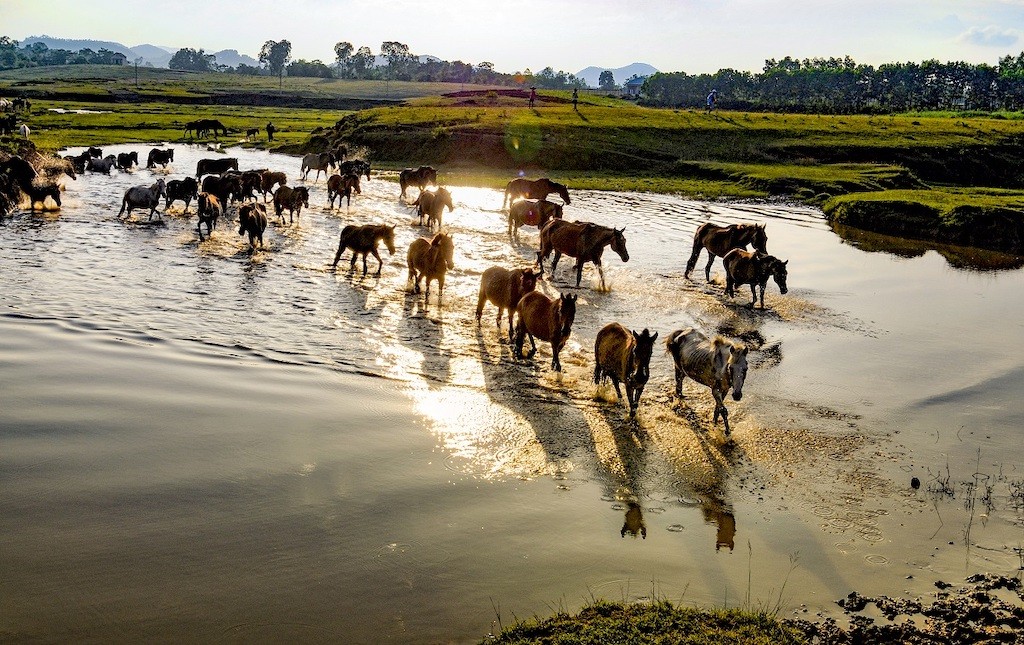 Best Destinations to Explore in Stunning Thai Nguyen