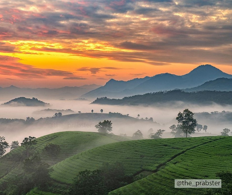 Expat Spotlight: Prabu Mohan - A Self-Taught Photographer of Vietnam's Remote Wilderness