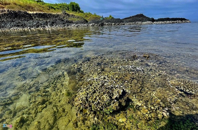 The Coral Reef Masterpiece in Ganh Yen