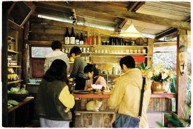 Discover Hidden Cafes in Da Lat