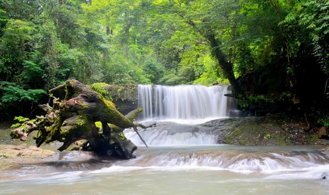 Historical Values ​​​​and Nature Conservation at Bu Gia Map National Park