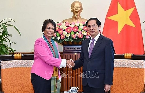 UN Assistant Secretary General and UNDP Regional Director for Asia and the Pacific Kanni Wignaraja and Foreign Minister Bui Thanh Son. Photo: VNA