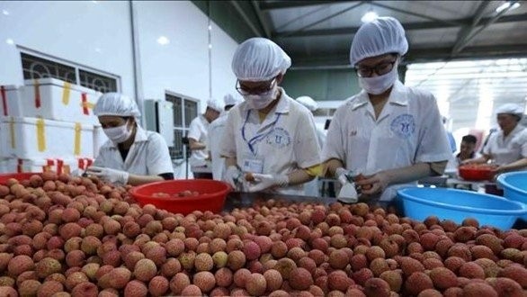 Big Step for Vietnamese Agricultural Products towards Huge International Market