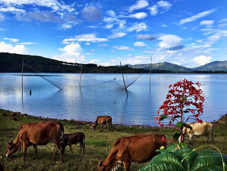 The Most Beautiful Natural Lake in Tay Nguyen