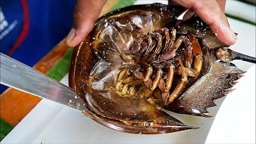 Horseshoe Crab - A Must-Try Delicacy of Ha Long