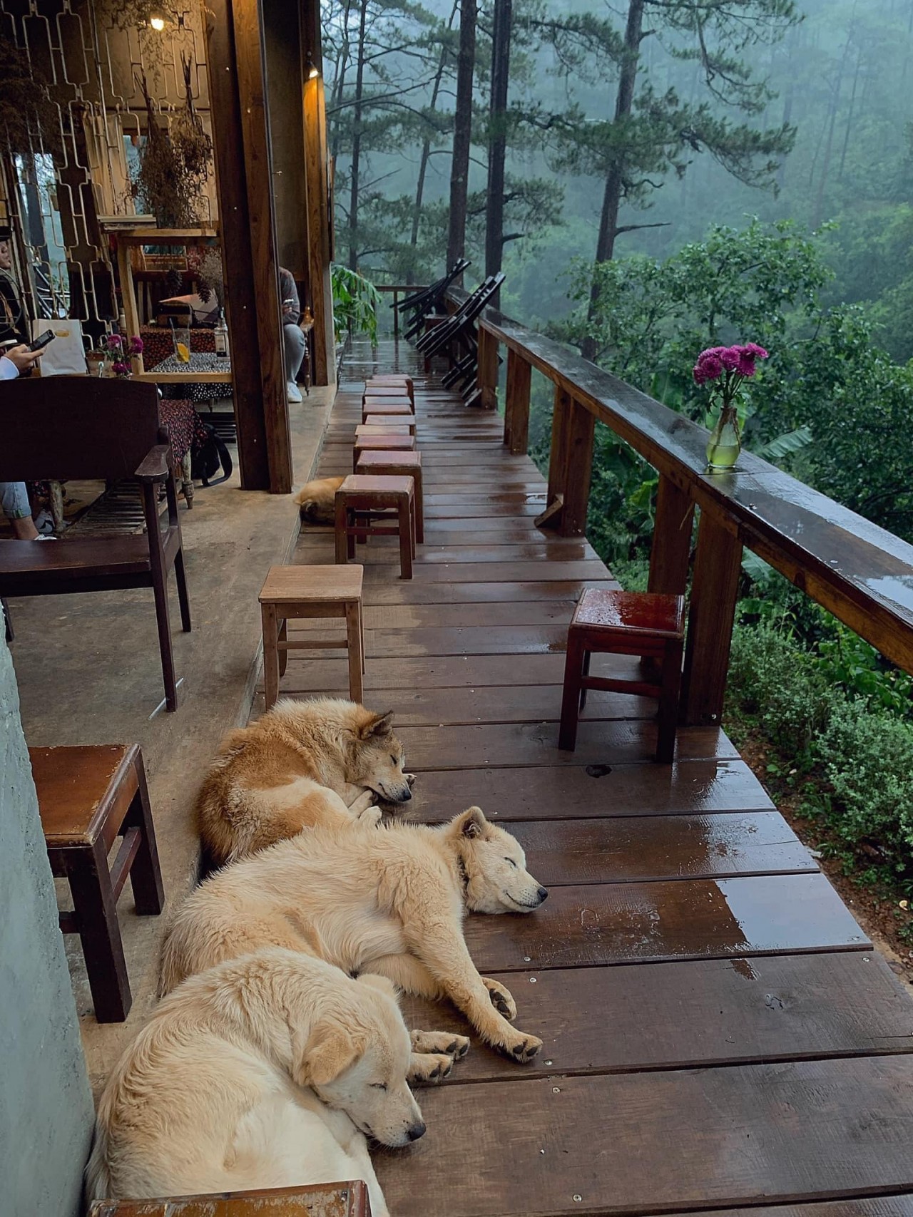 Da Lat's Coziest Cafes and Eateries For Rainy Days