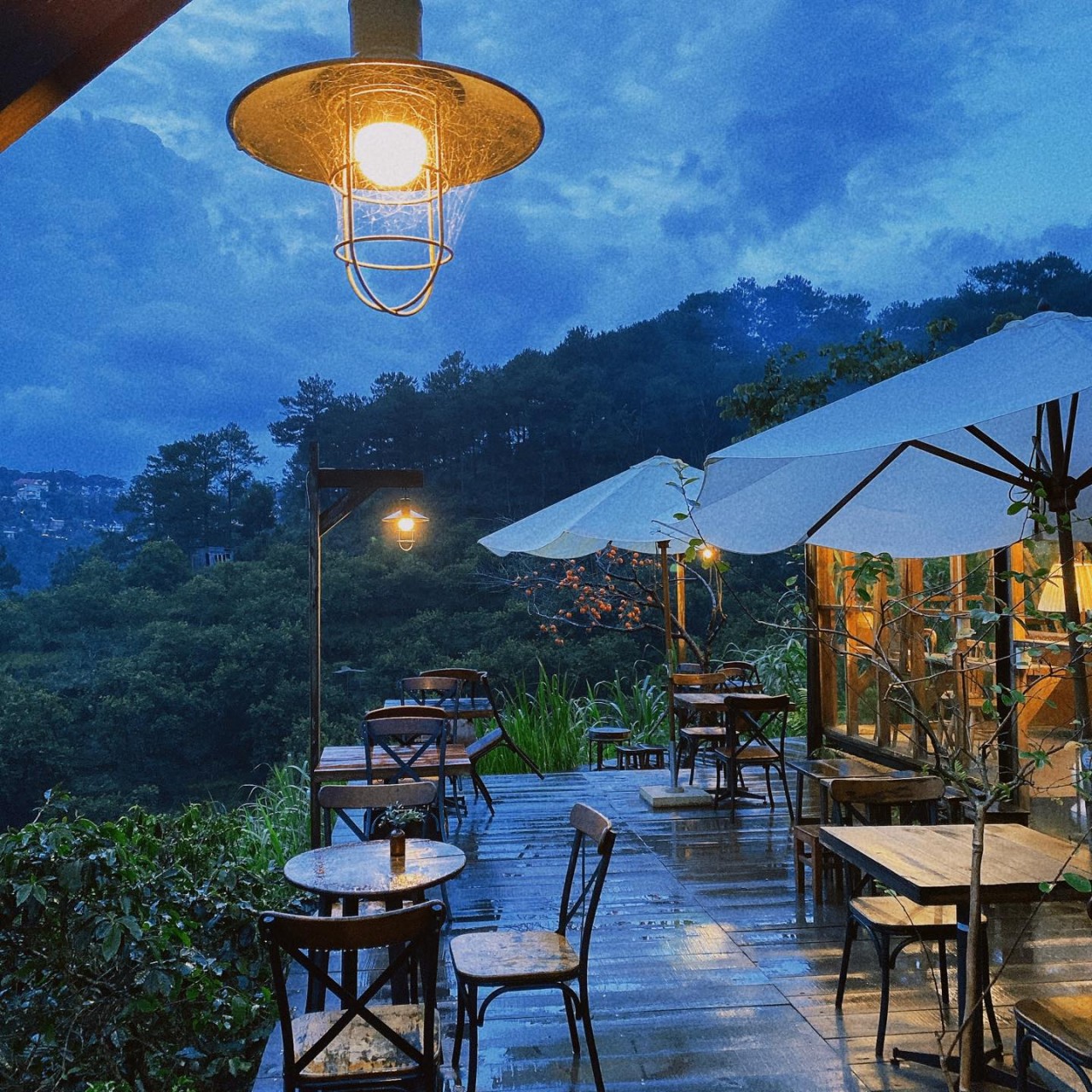 Da Lat's Coziest Cafes and Eateries For Rainy Days