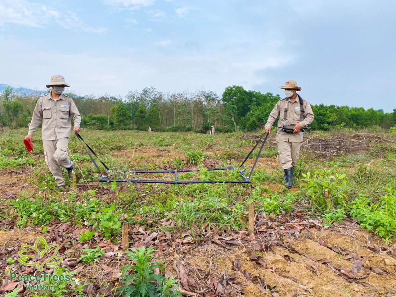 Quang Binh: PeaceTrees Clears 1,5 million m2 of Land in Phase I