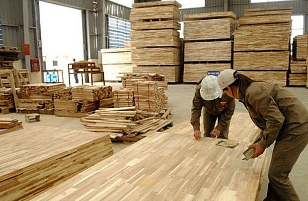 Vietnam’s hardwood plywood exports to the US increased from 112.3 million USD in 2018 to 356.7 million USD last year. (Photo: VNA)