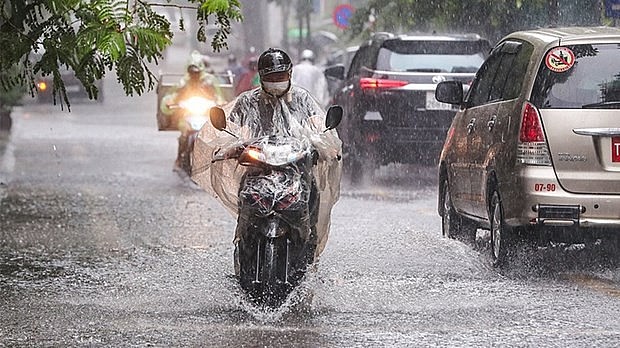 In a heavy rain. Photo: VNA