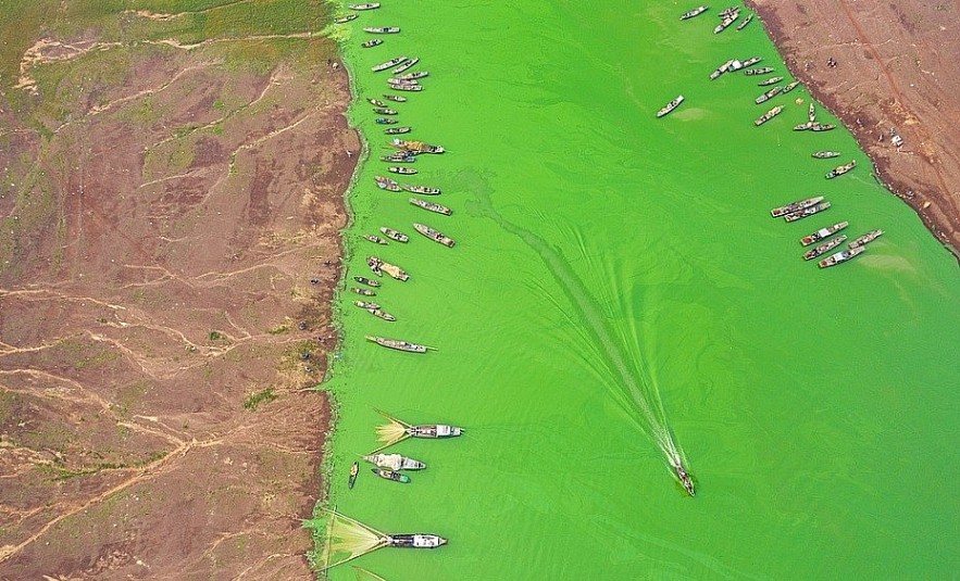 Jump into Green Algae Season at Tri An Lake