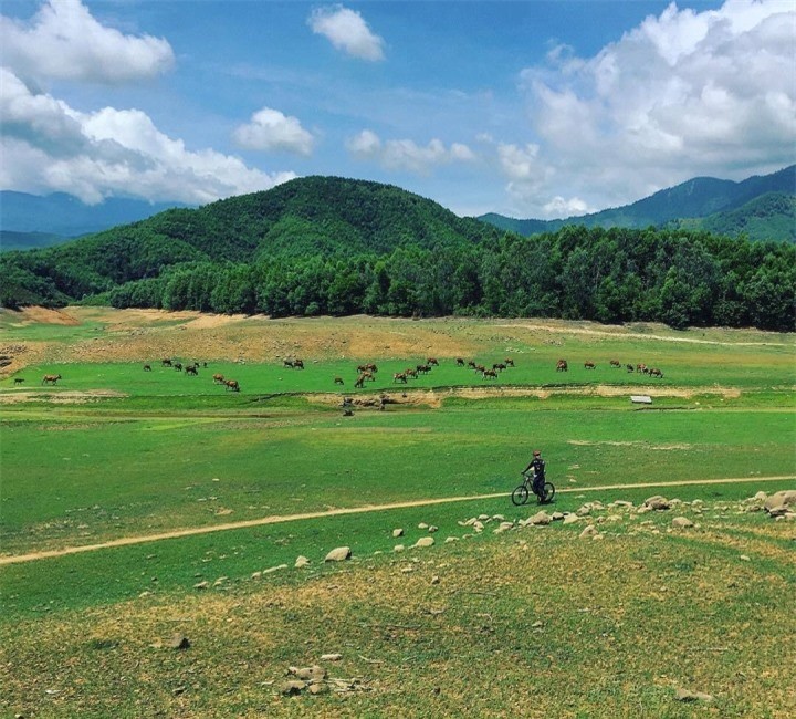 Hidden Gem In Da Nang: Hoa Trung Dreamy Floating Steppe