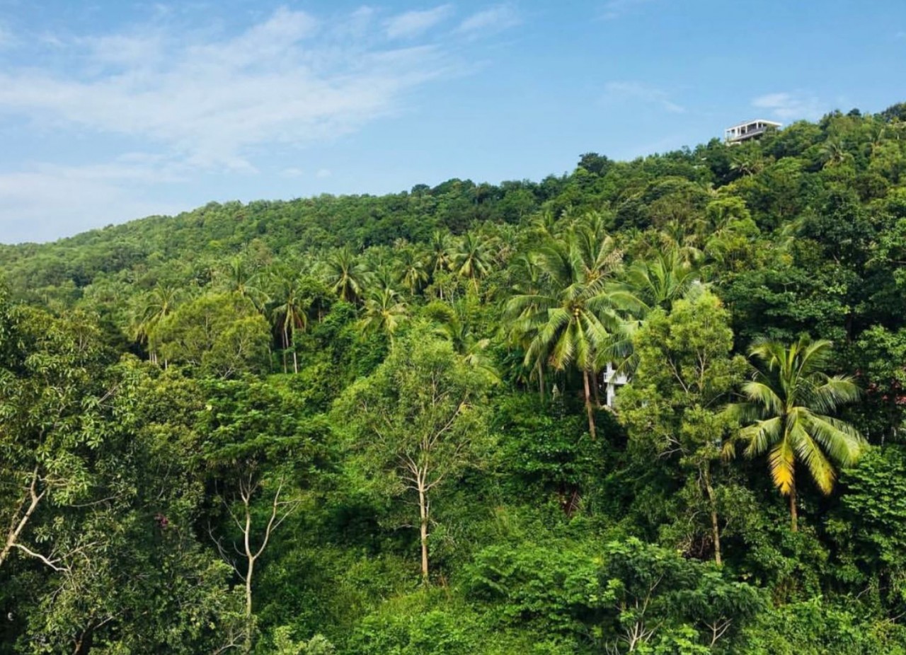 Ideal Destinations in Vietnam with Diverse Culture and Unique Cuisine Amazing Cultural Sites across Vietnam