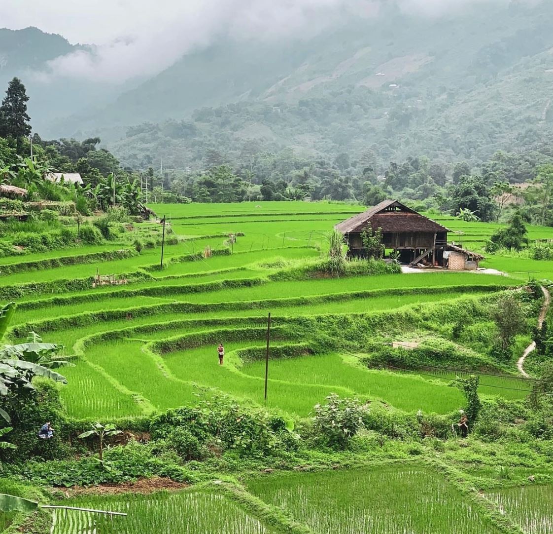 Ideal Destinations in Vietnam with Diverse Culture and Unique Cuisine Amazing Cultural Sites across Vietnam