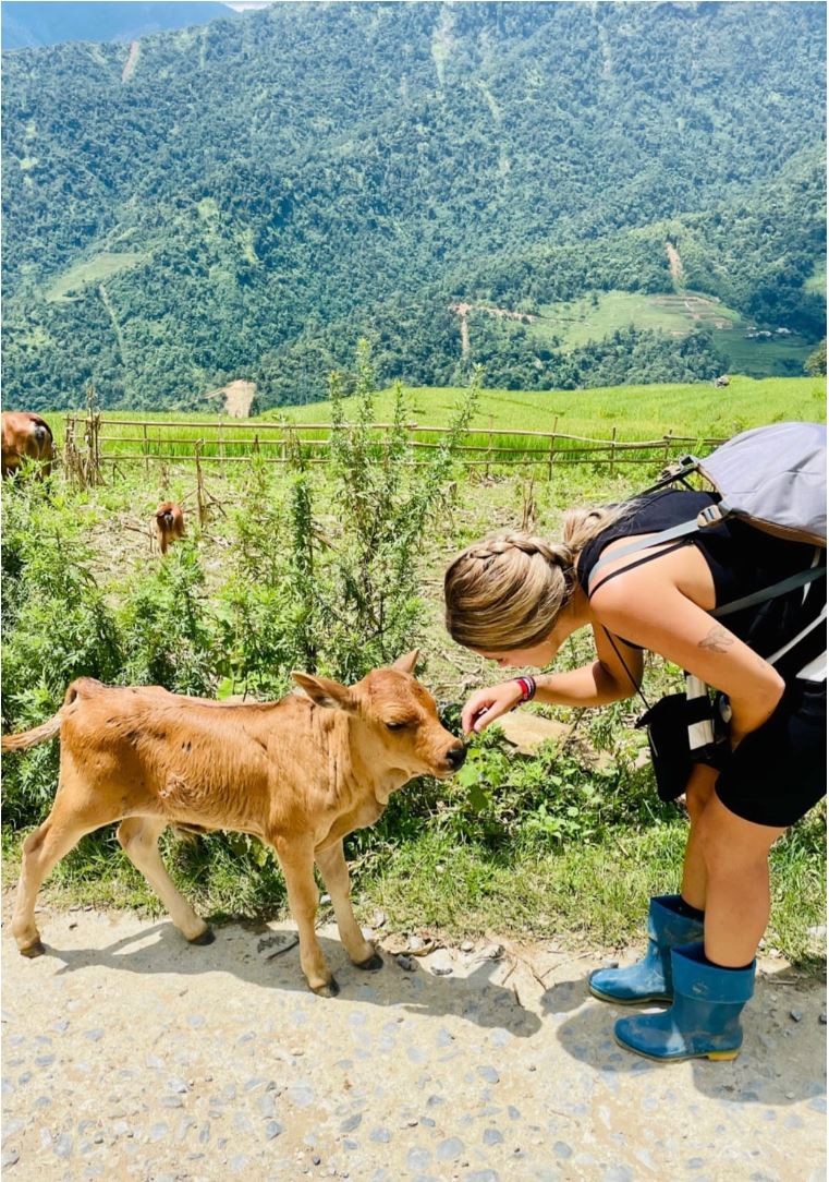 Ideal Destinations in Vietnam with Diverse Culture and Unique Cuisine Amazing Cultural Sites across Vietnam