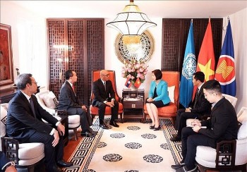 Vietnam, Laos to Boost Cooperation at Multilateral Forums