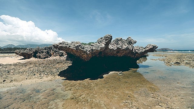 Explore the Million-Year-Old 'Stone Park' in Ninh Thuan