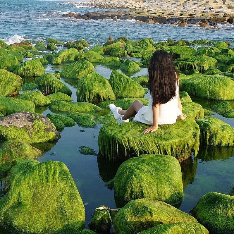 Explore the Million-Year-Old 'Stone Park' in Ninh Thuan