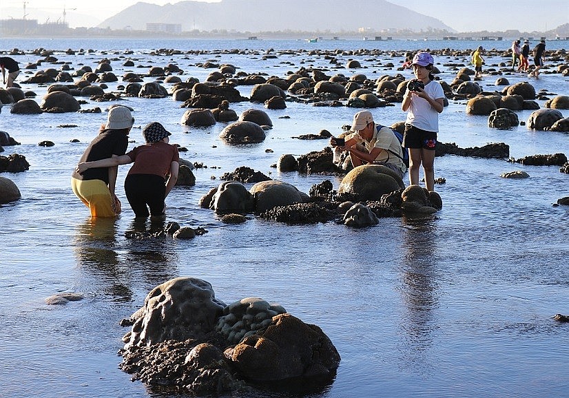 Explore the Million-Year-Old 'Stone Park' in Ninh Thuan