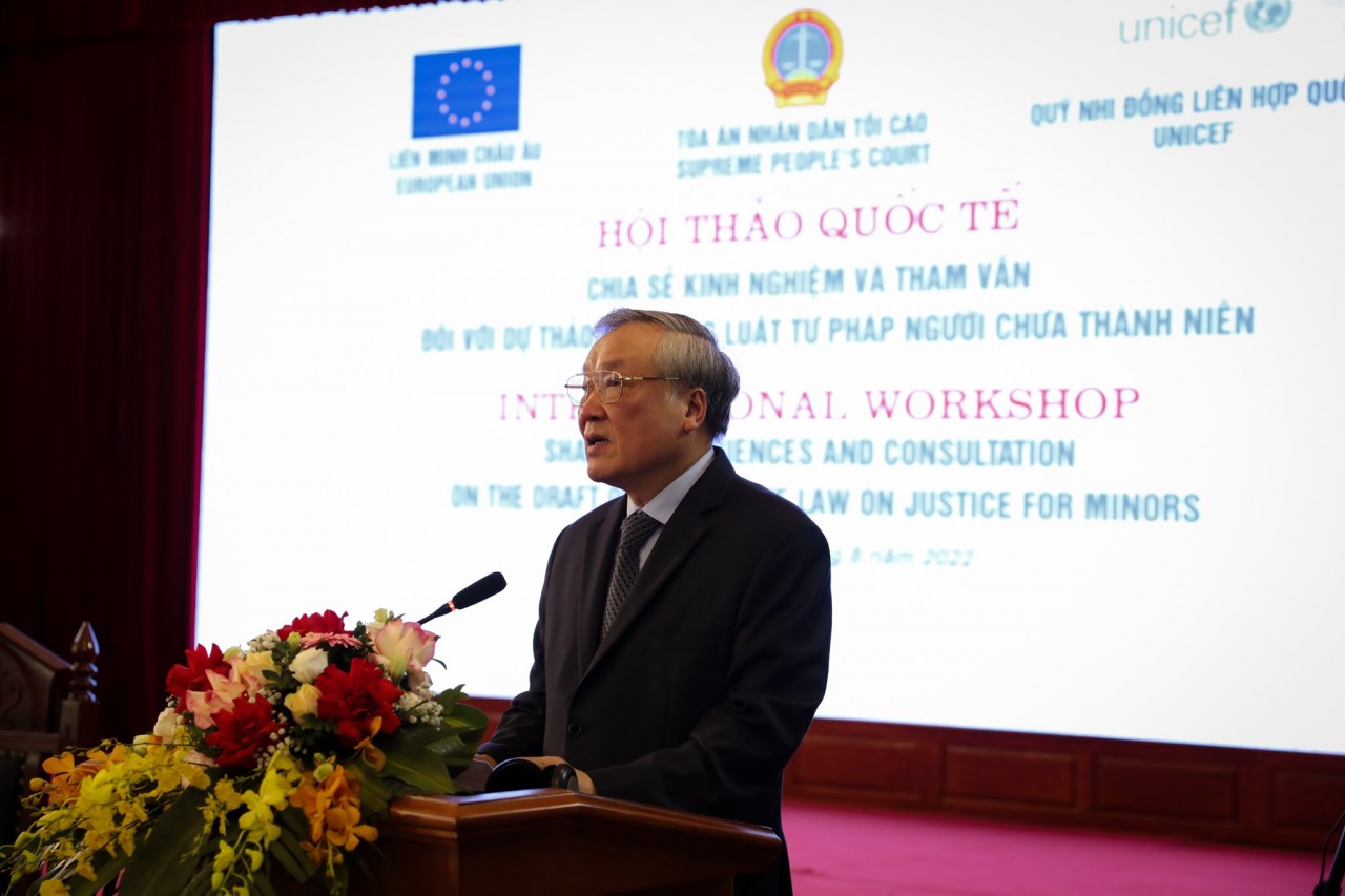 Chief Justice Nguyen Hoa Binh speaks at the event. Source: UNICEF Vietnam