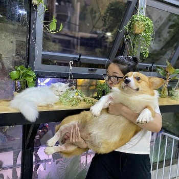 Seven Cutest Pet Cafés in Vietnam