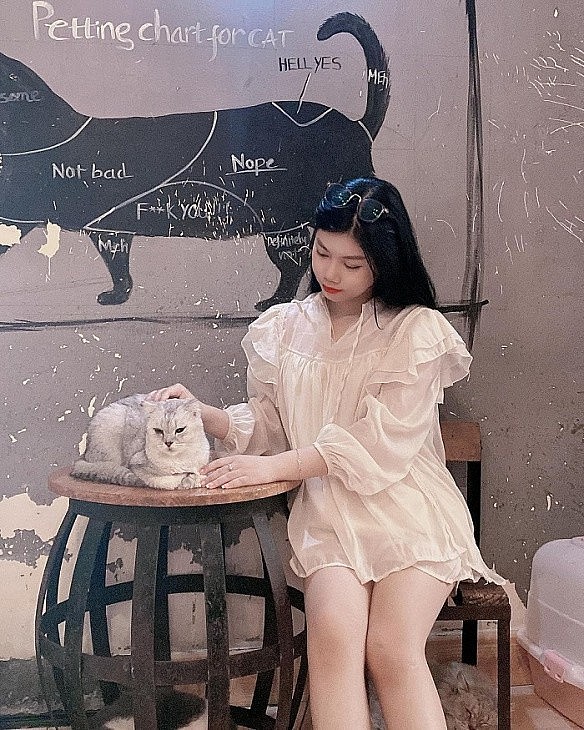 Seven Cutest Pet Cafés in Vietnam