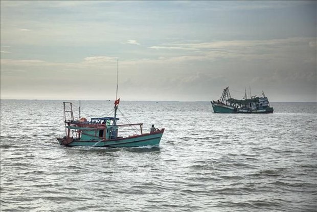 Vietnamese offshore fishing vessels in the waters of Kien Hai, Kien Giang province. Photo: VNA