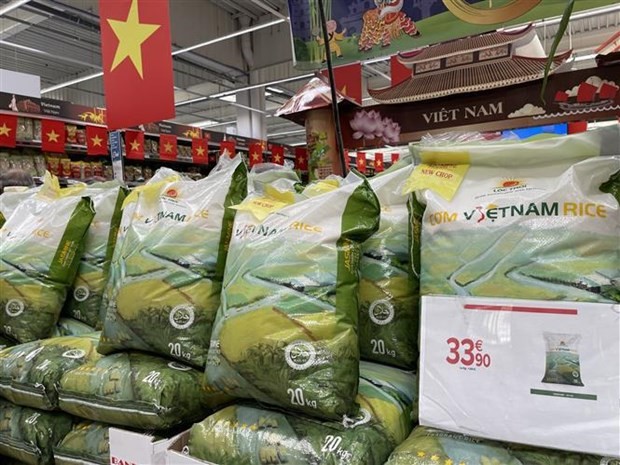 Vietnam's Rice Export to the Philippines Hit Record Level