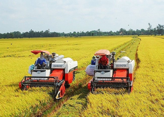 Experts Share Views on Vietnam's Economic Year