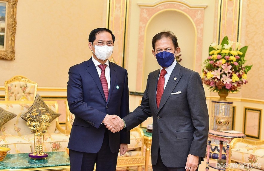 Sultan Haji Hassanal Bolkiah receives Vietnamese Minister of Foreign Affairs Bui Thanh Son (left) on September 7. 