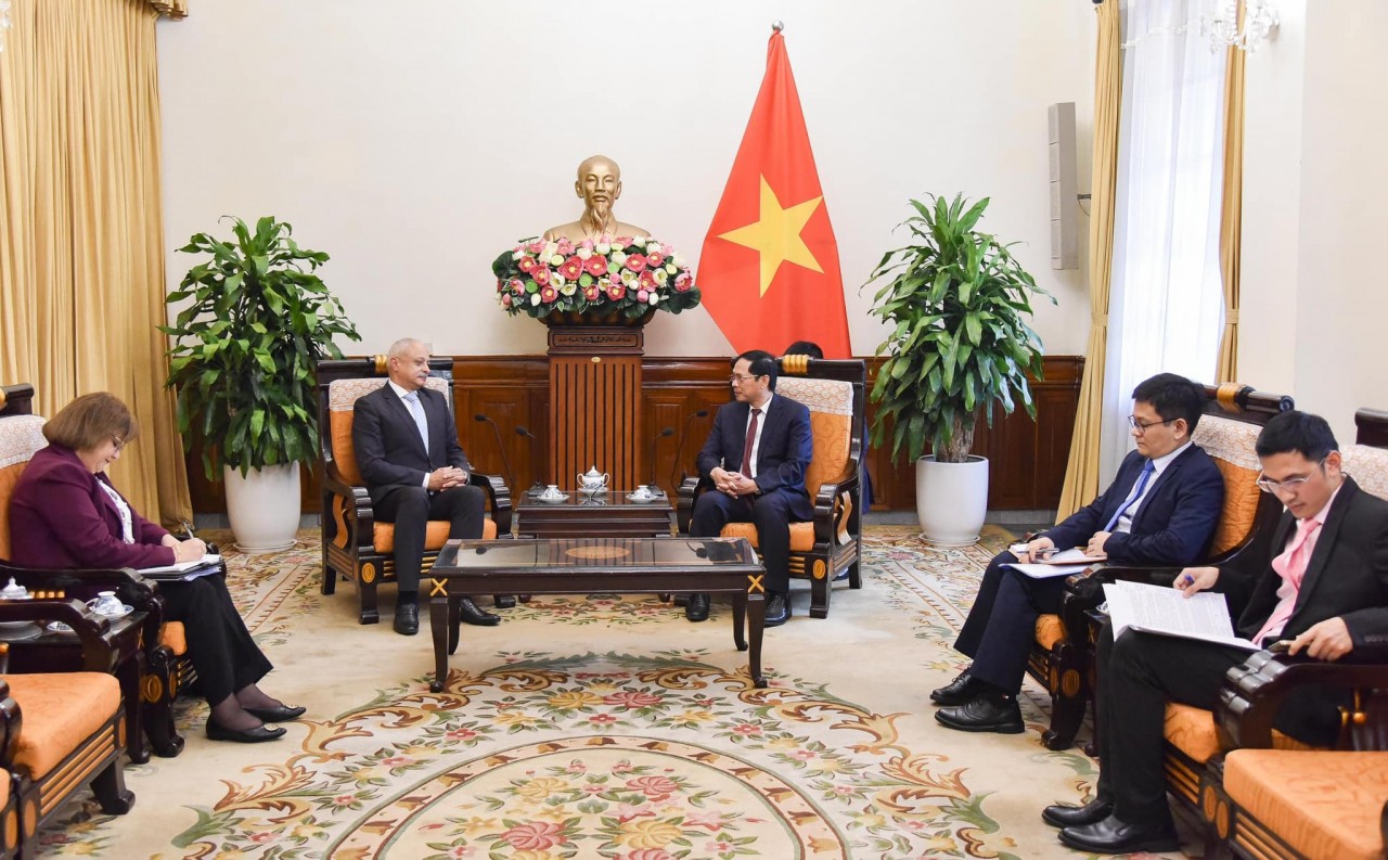 Ninth Vietnam-Egypt Political Consultation Held in Hanoi