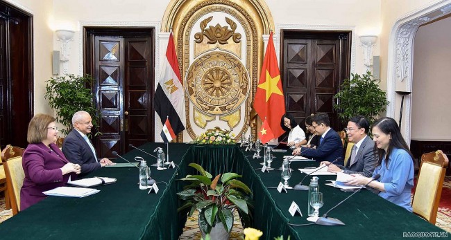 Ninth Vietnam-Egypt Political Consultation Held in Hanoi