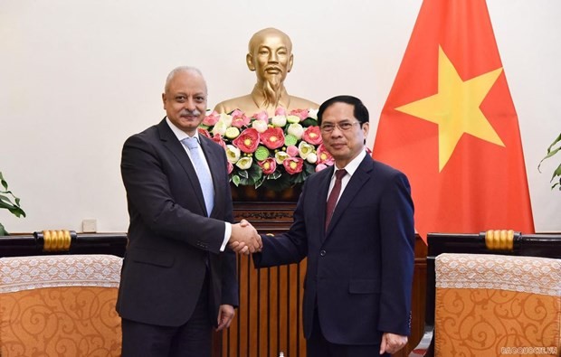 Vietnam, Egypt to Tighten Business Cooperation